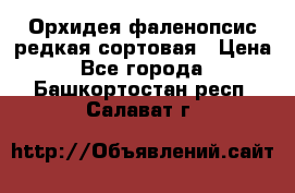 Орхидея фаленопсис редкая сортовая › Цена ­ 800 - Все города  »    . Башкортостан респ.,Салават г.